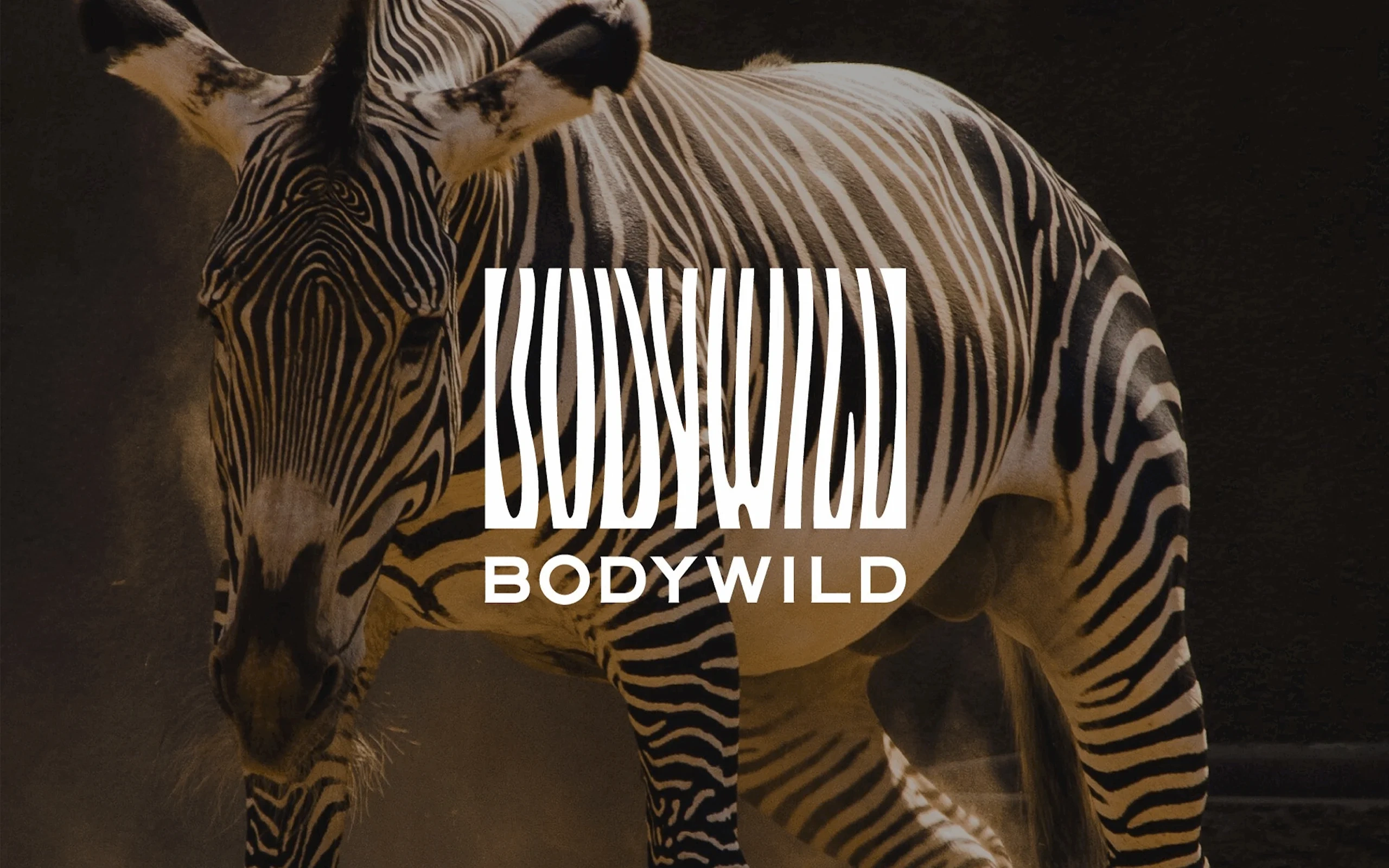 BODY WILD