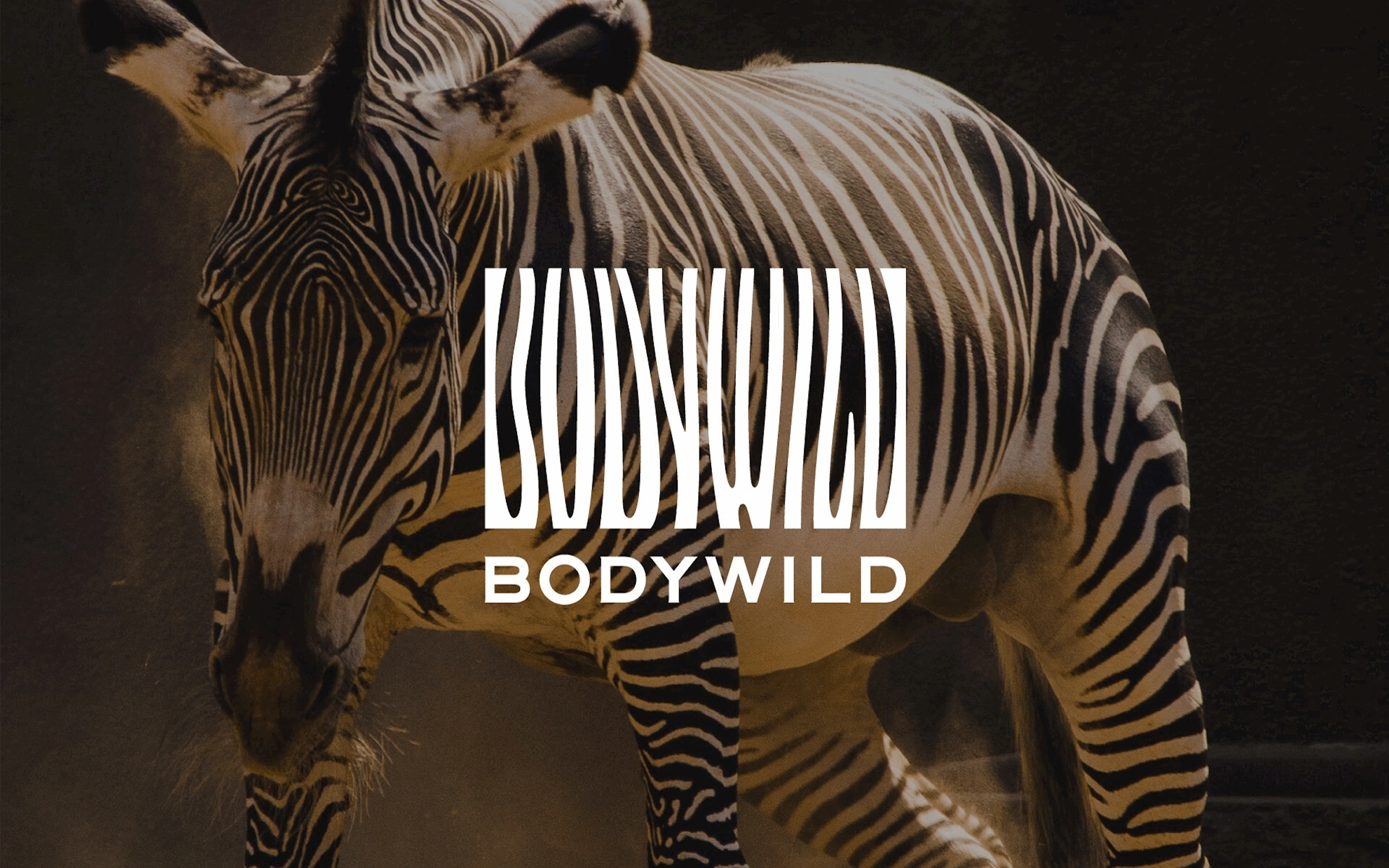 BODY WILD