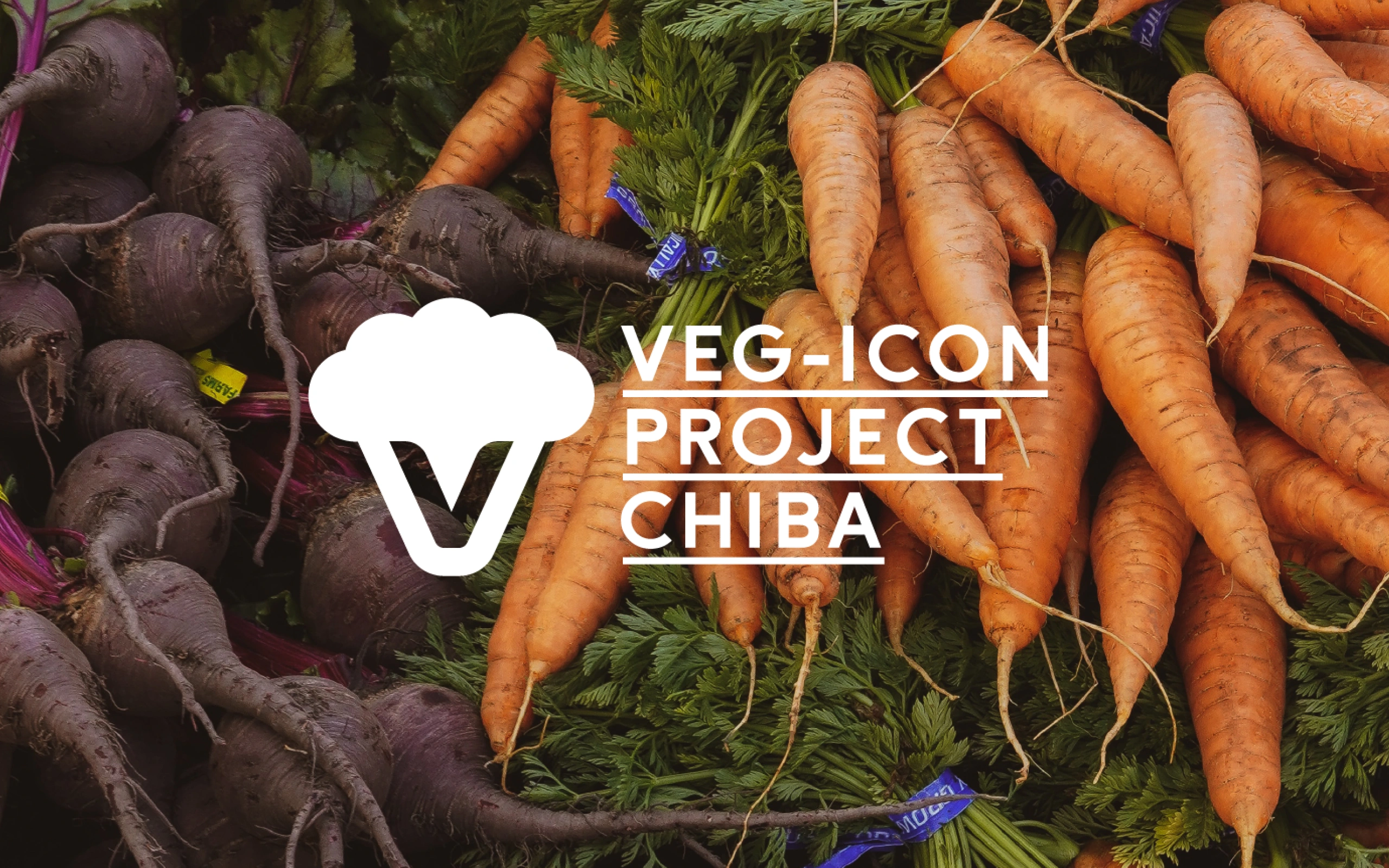VEG-ICON