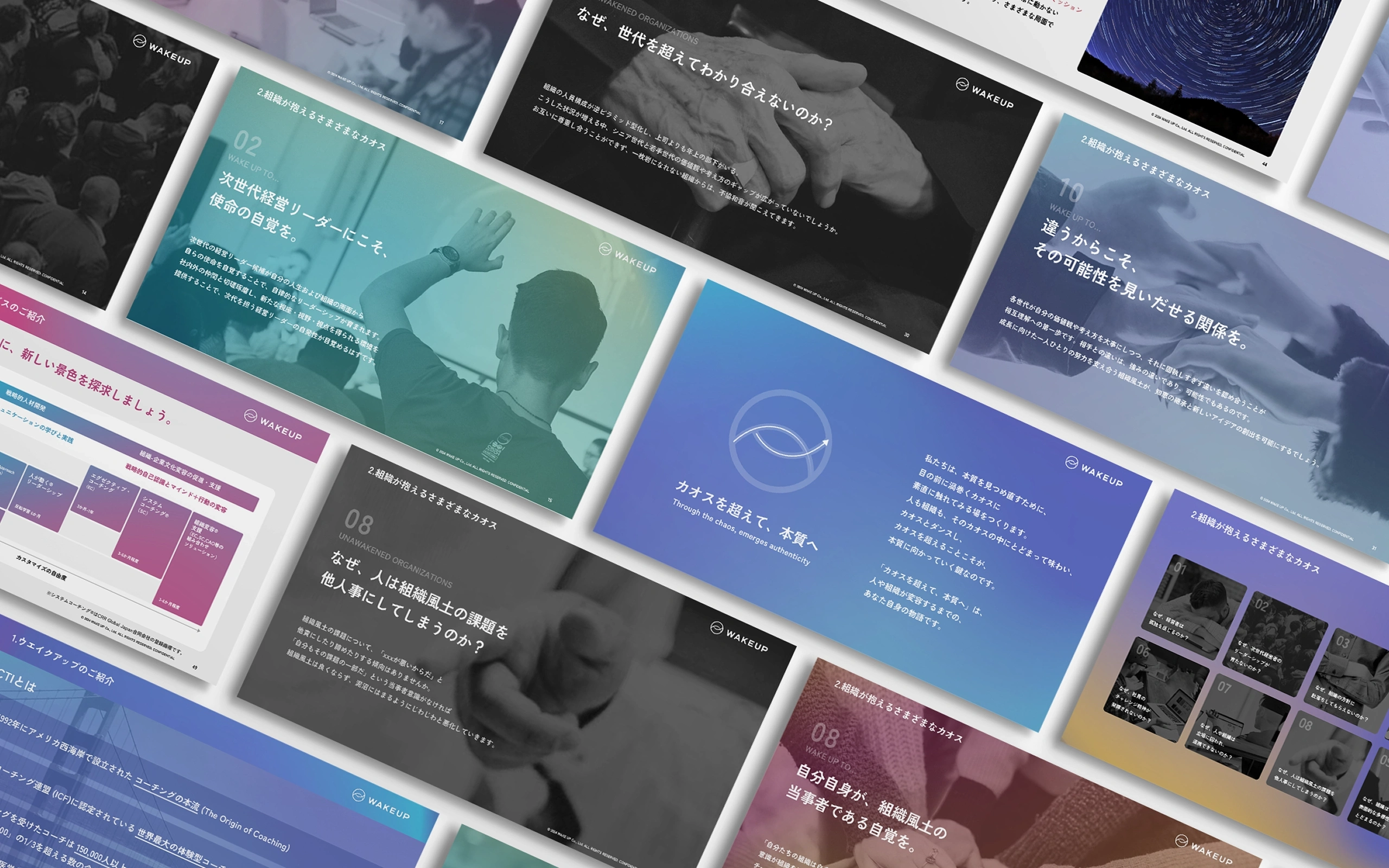 CTI JAPAN & 
WAKE UP